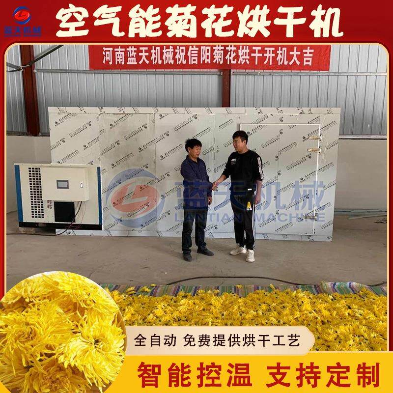 北京菊烘干房 金丝黄皇菊花秋菊凤尾菊烘烤房大型 菊花茶烘干设备