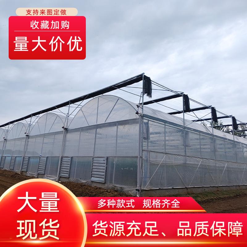 蔬菜种植大棚加工农业家用薄膜温室大棚日光暖棚、冷棚单体大棚