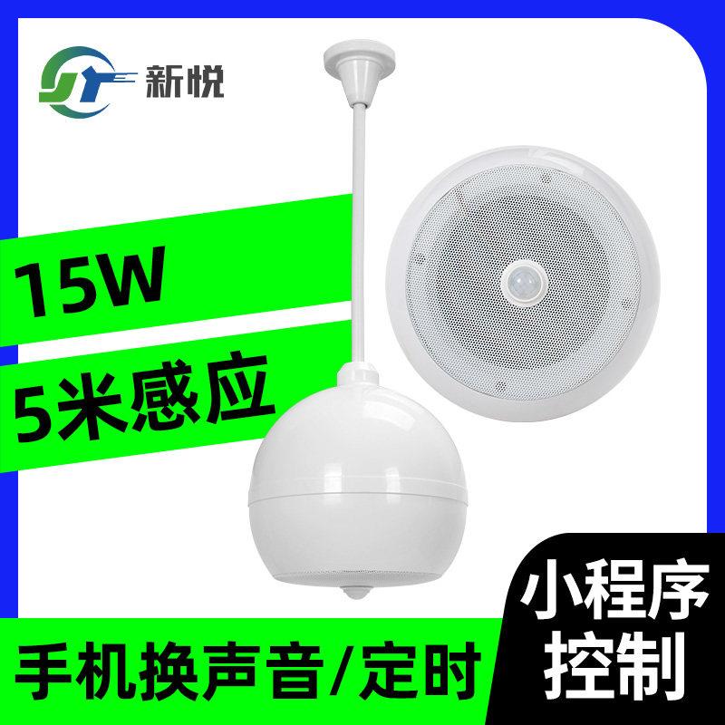 感应吊球音响吊杆式感应语音播报器商铺背景音乐人体感应天花喇叭