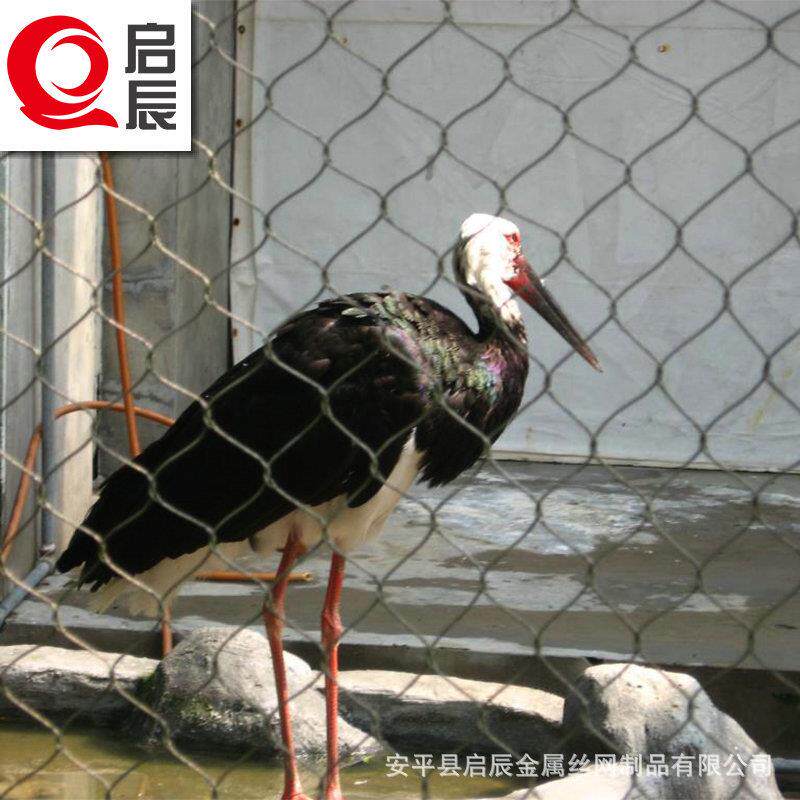 鸟笼舍围网鸟语林网不锈钢顶网笼舍绳网不锈钢编织卡扣绳网