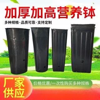 加厚塑胶育苗杯适用柑橘杯加高设计 圆口营养杯与方口营养钵选择