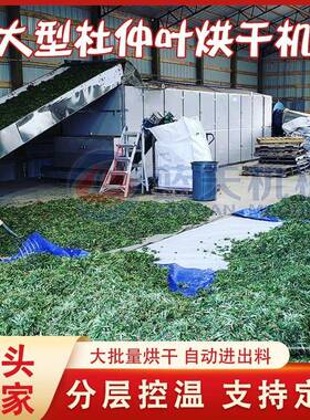 大型杜仲新树叶烘干设备网带式思仲叶丝连皮干燥机杜仲叶烘干机