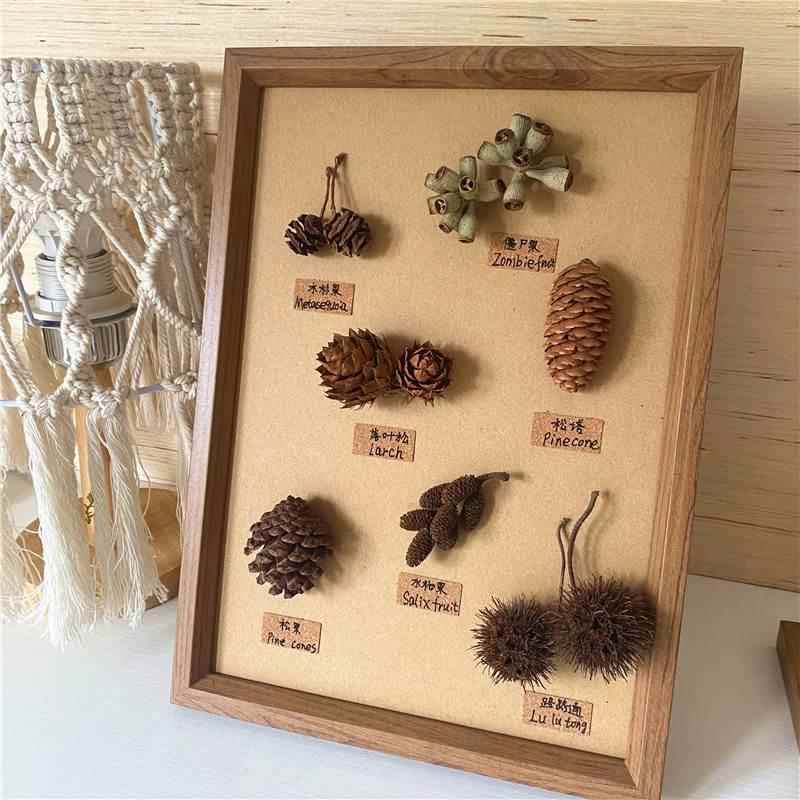 标本类立体装饰画松果植物干花干果森系相框墙ins面桌面手工diy