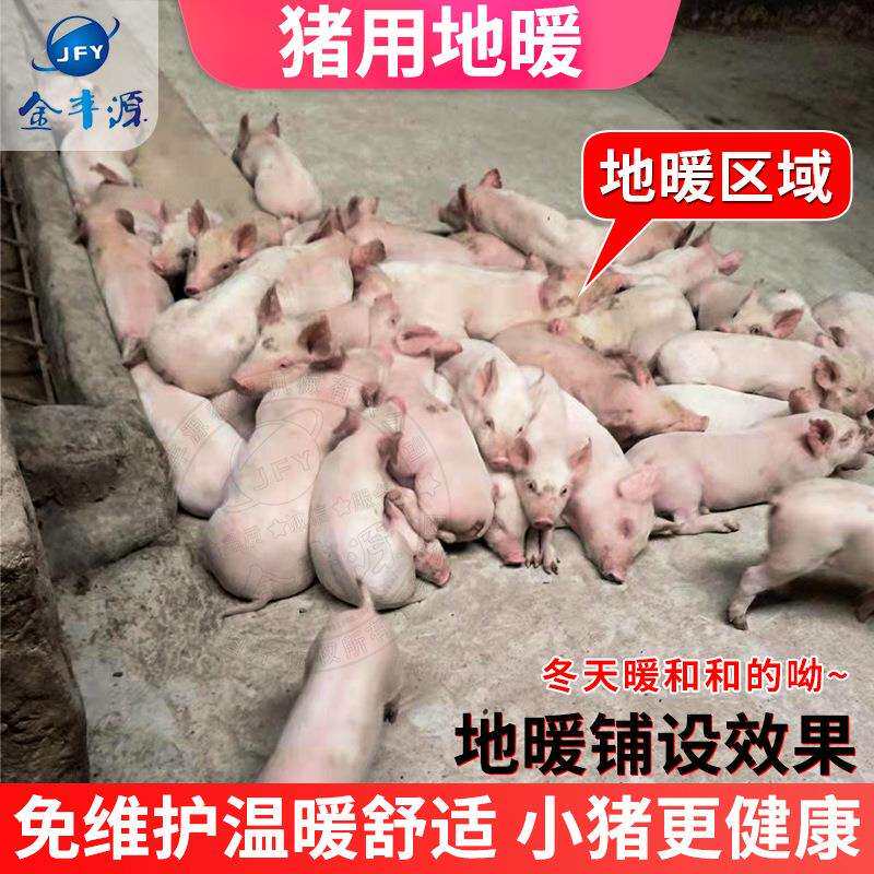 猪用碳纤维地暖猪场仔猪地暖电地暖畜牧养殖地暖猪取暖猪用养殖场