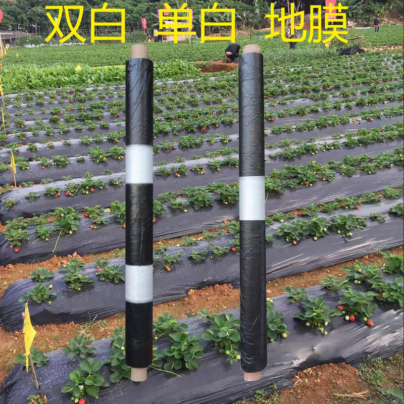 农用双白单白黑白相间地膜薄膜种植育苗除草防虫保温保湿加厚农膜
