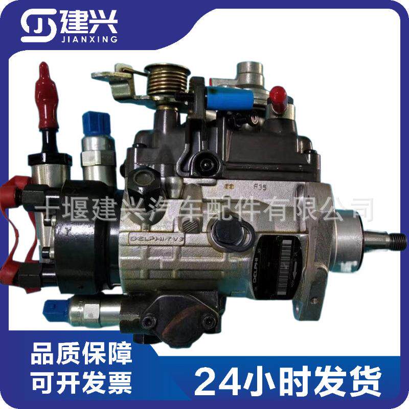 适用工程机械帕金斯柴油发动机配件DELPHI德尔福9520A324G燃油泵