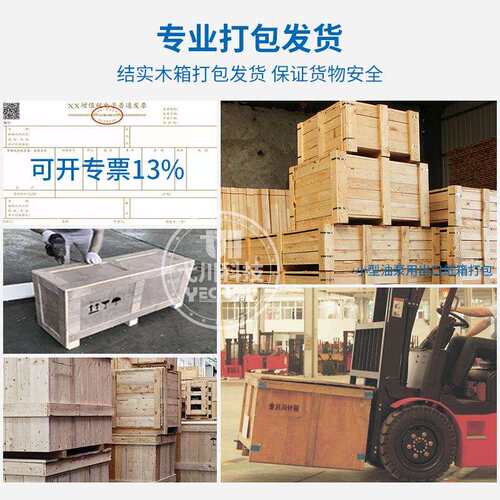 替VOITH内啮合齿轮泵IPS6-80/100/125 101德国高压福伊特液压油泵
