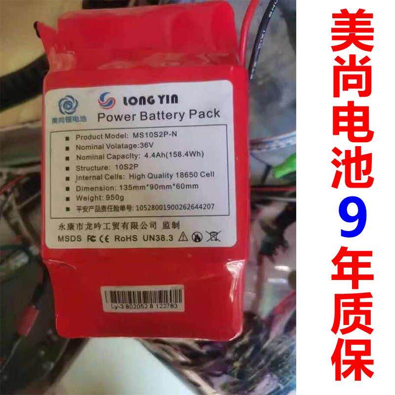 电动龙吟平衡车电池36v42v电瓶阿尔郎双轮扭扭车锂电池组专通用行