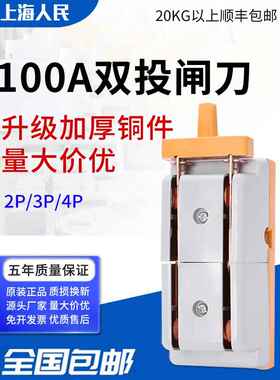 人民100A双掷反刀开关两相家用电源开关刀开关电动车转换开关4P