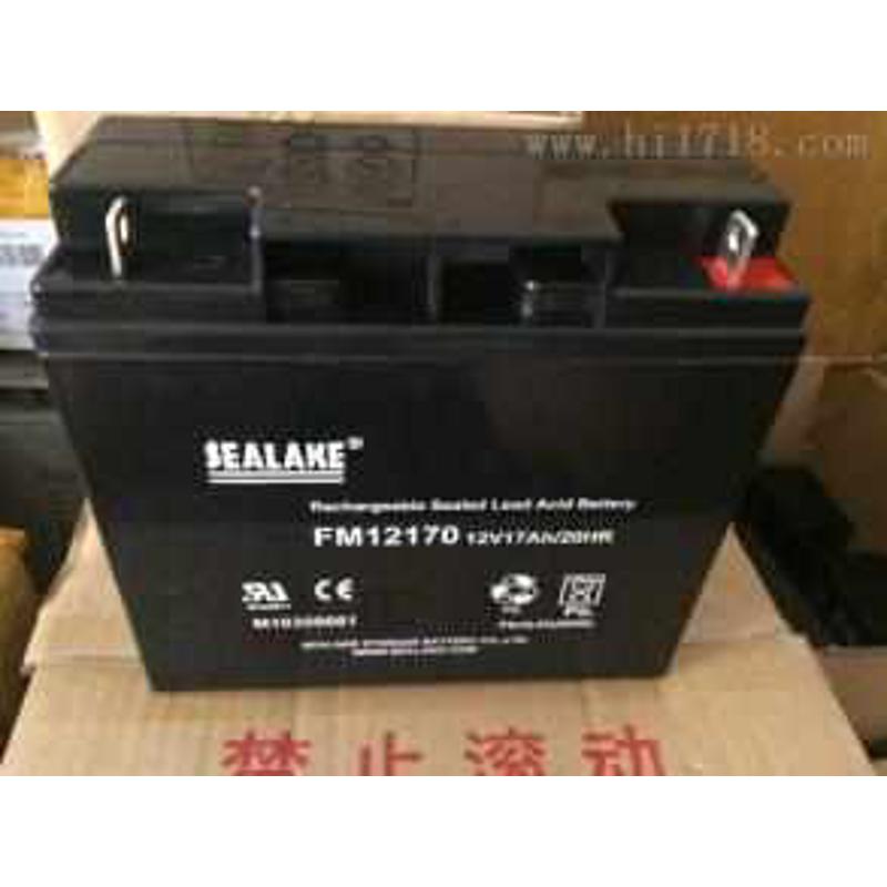 海湖SEALAKE蓄电池FM12240/12V24AH直流屏UPS电源蓄电池