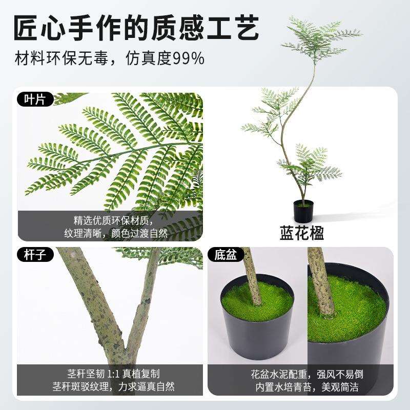 真蓝花楹盆栽日韩风客厅造景摆件仿生假植物绿植假树装饰