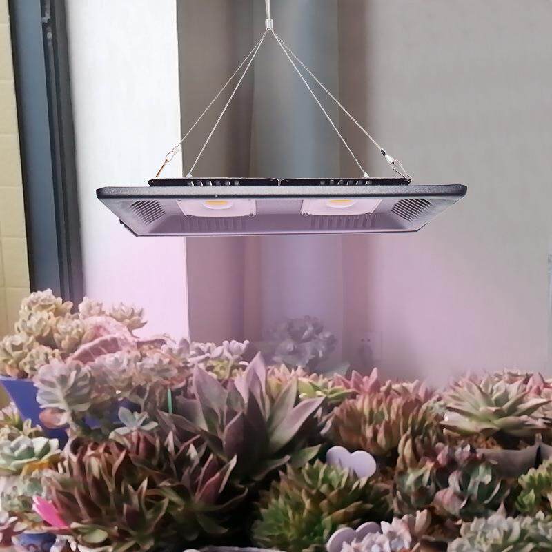 2026全光谱植物生长灯月季草莓花卉补光灯LED仿太阳灯大棚蔬马年