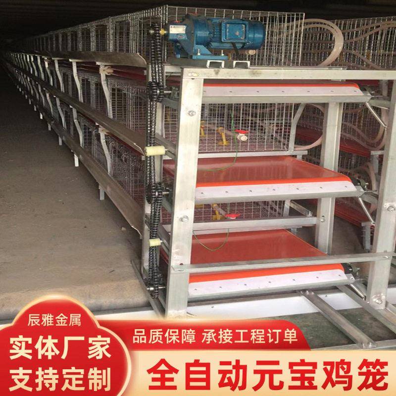 三层立式肉鸡笼自动清粪恒温养鸡设备蛋鸡笼养殖场三层两门肉鸡笼