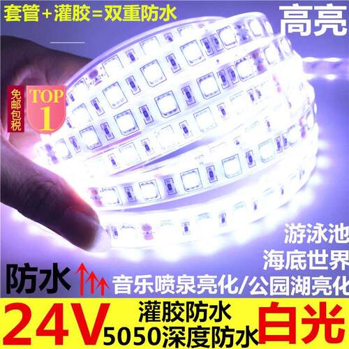 24V灌胶防水LED灯条套管胶防水灯带24V泳池灯条LED灯带水下可用