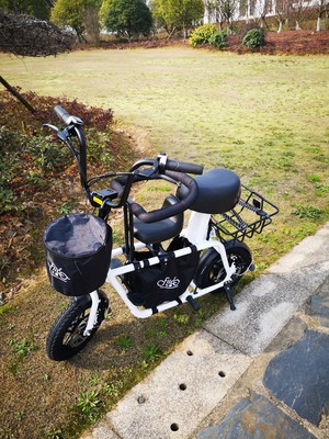 权威发布FIIDO亲子电动车怎么样?千万不要被忽悠了