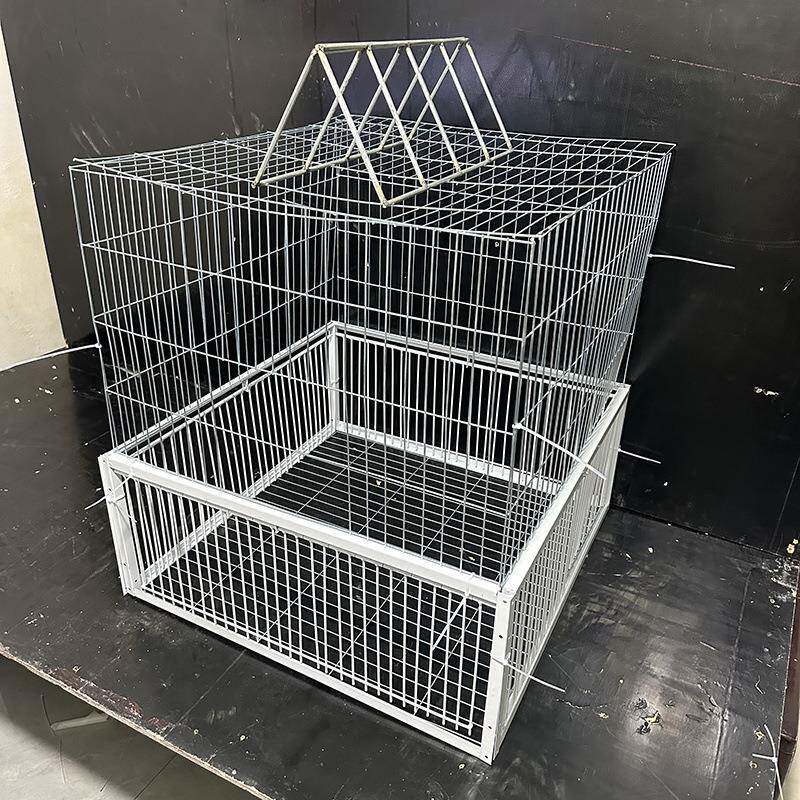 新款天落笼加密鸽子笼收鸽信鸽用品只进不出鸽子笼跳笼鸽进鸽子笼