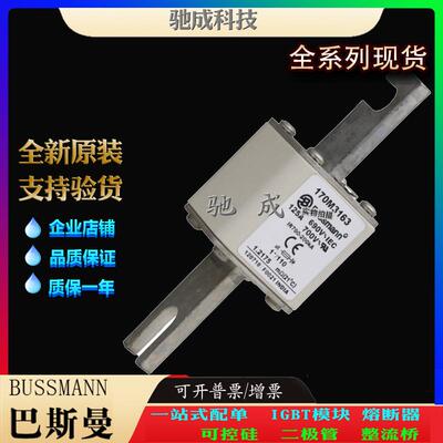 巴斯曼170M3161 170M3162 170M3163 长期优价供应 方体熔断器