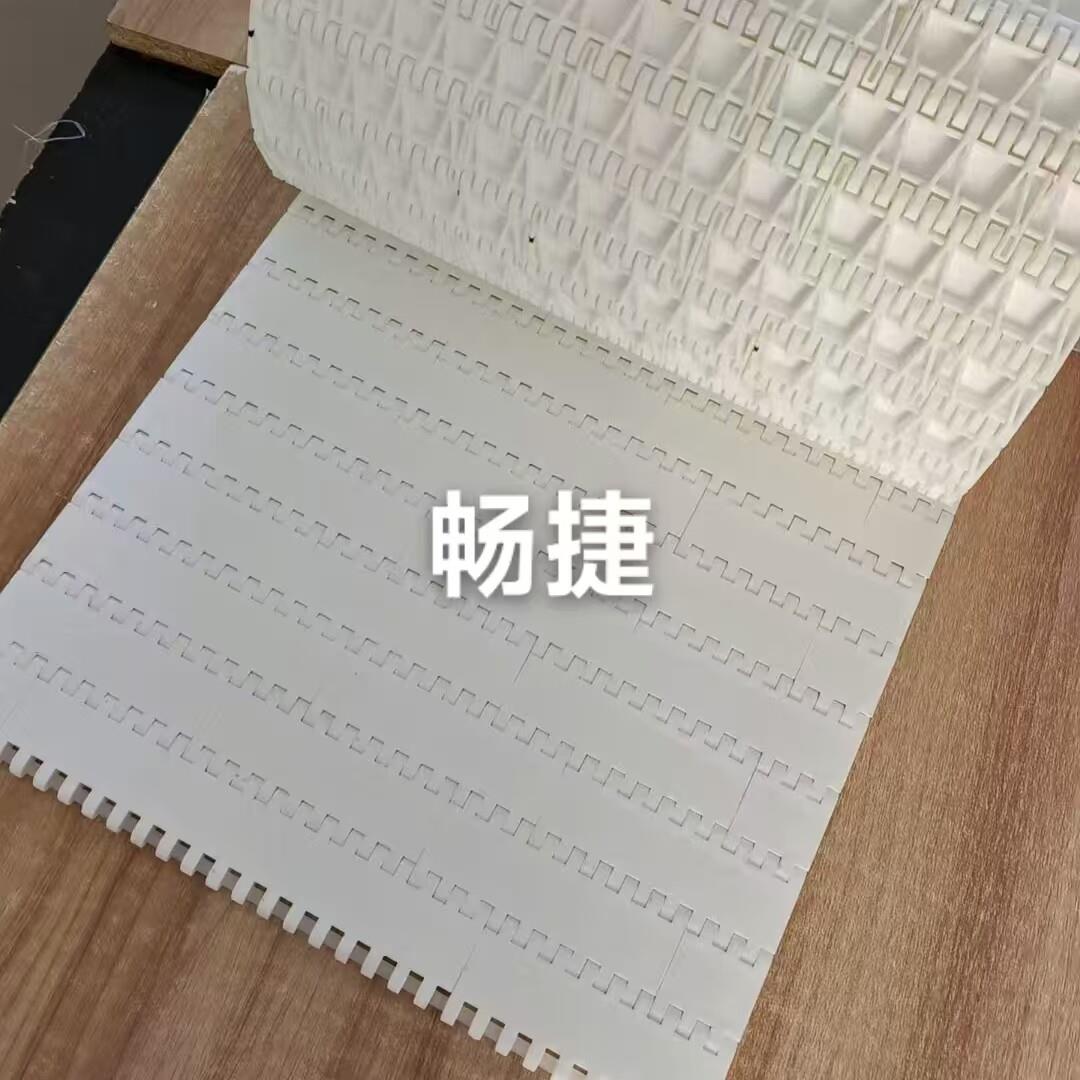 塑料链板输送带 挡板式网带输送带 食品级流水线pp塑料尼龙链板带