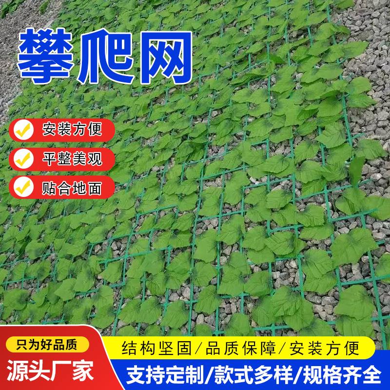 PE锁边爬藤网农作物菜园种植吊瓜植物架子攀爬网聚乙烯山体绿化网图片