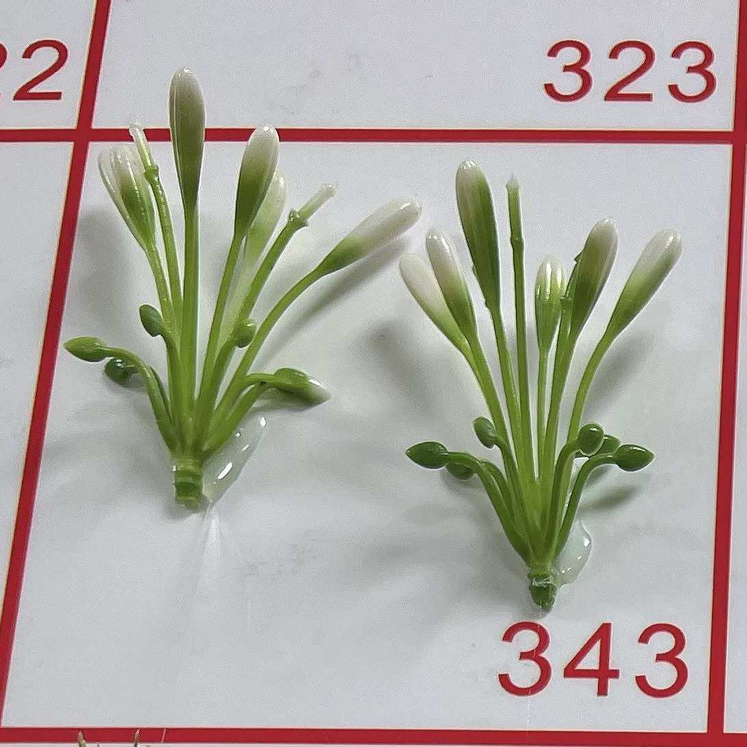 仿真花塑料莲子果配件 三叉叉位可插小花 人造封顶塑料花装饰配件,家居饰品,DIY仿真材料,淘宝优惠券,粉丝福利购,淘宝优惠卷