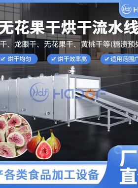 无花果网带式烘干机杏干樱桃果脯烘干全套设备车厘子樱桃干燥机