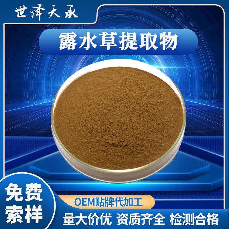 露水草提取物10:1水溶性露水草粉鸡冠参提取物露水草提取物