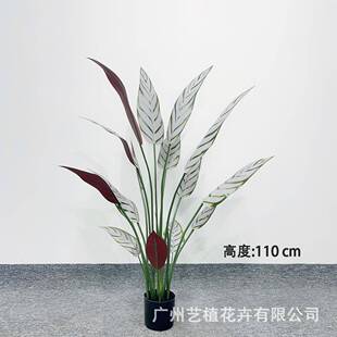 仿羽真树飞羽竹芋春树旅YZ-161蕉人造仙芋树室人内装饰景仿真绿植