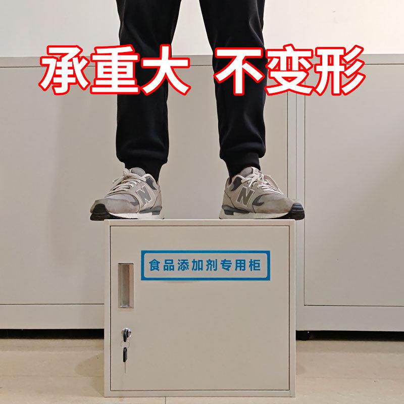 铁皮收纳柜食品添加剂专用柜小型定制柜子不锈钢单门铁柜文件柜