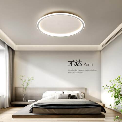 极简led吸顶灯房间卧室灯主卧2021年新款现代简约圆形餐厅灯
