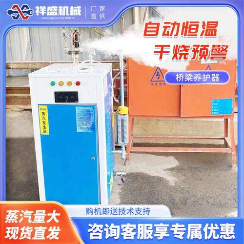 混凝土蒸汽养护机燃油蒸汽发生器高压蒸汽养护器48kw桥梁养护机