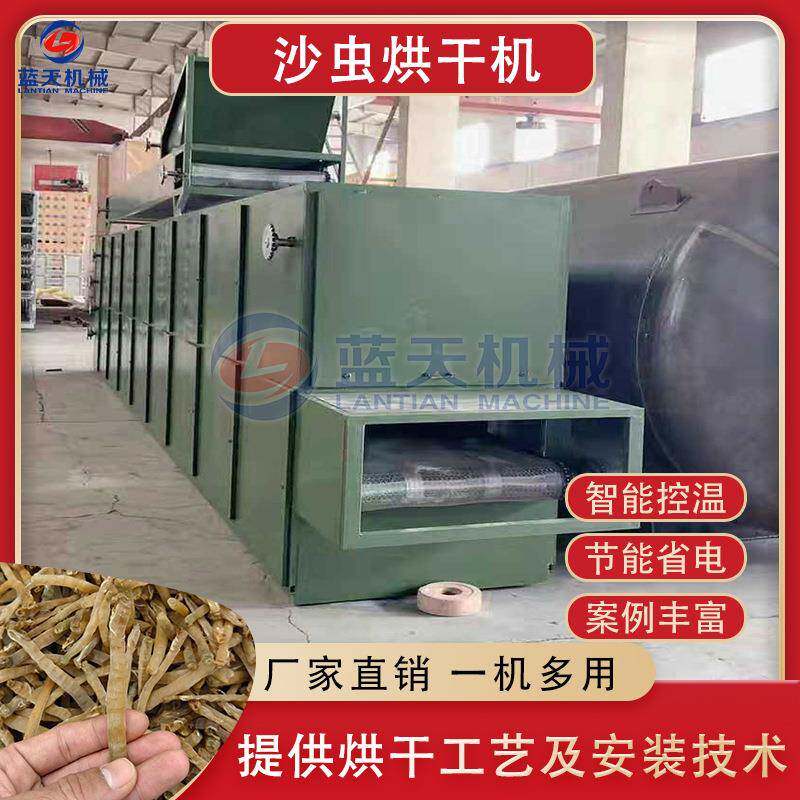 沙虫烘干机网带沙肠虫光裸星虫干燥机全自动连续式海肠子烘干机