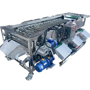 商用果蔬土豆红薯滚杠分选机芒果分选机圣女果柠檬猕猴桃选果机