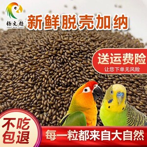 杨文超新鲜脱壳加纳鸟食颗粒饲料鹦鹉虎皮鸟粮营养全面包邮