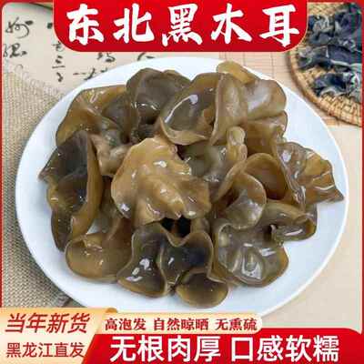 东北黑木耳干货野生柞木秋木耳天然软糯黄木耳大朵黑龙江特产500g