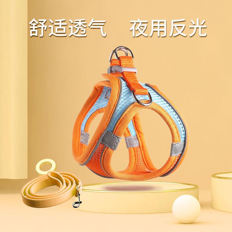 小体犬幼犬专用牵引绳超小体约克夏胸背茶杯