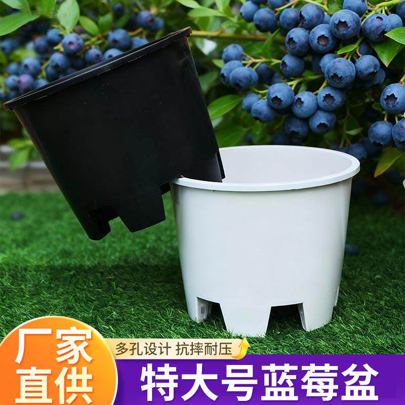 超大号蓝莓花盆加厚蓝莓专用盆加高圆形塑料花盆透气呼吸蓝莓盆