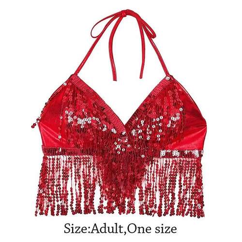 Charming Belly Dance Sequin Fringe Top Nightclub Performance