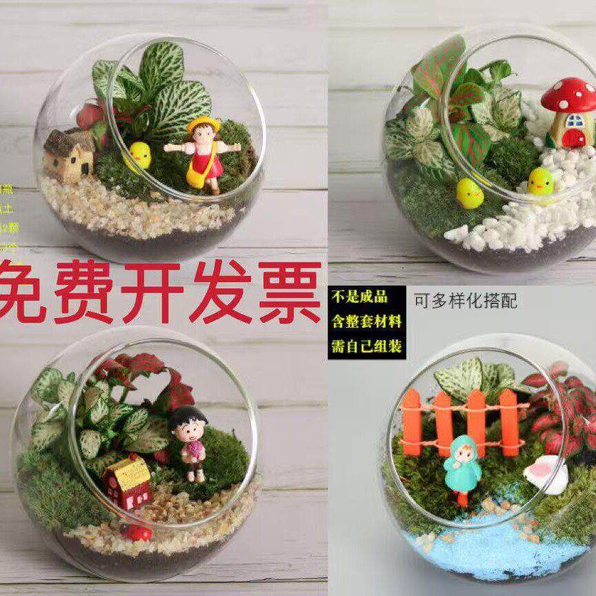 苔藓微景观生态diy材料创意公室迷你植物多肉活动盆栽套装