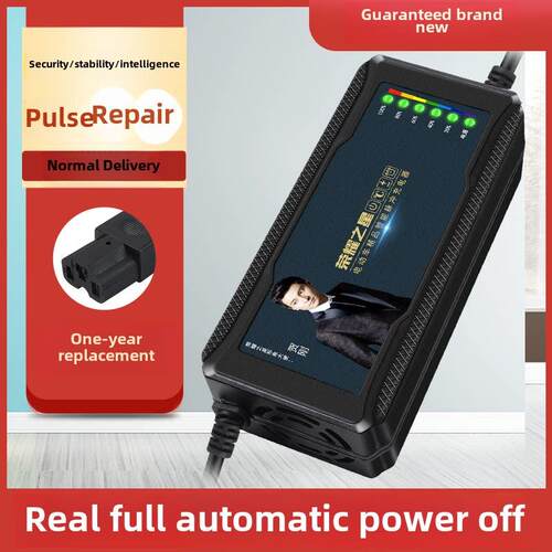 适用于三宝龙自动关机智能电动车电池充电器48V12Ah60V20Ah72V30A