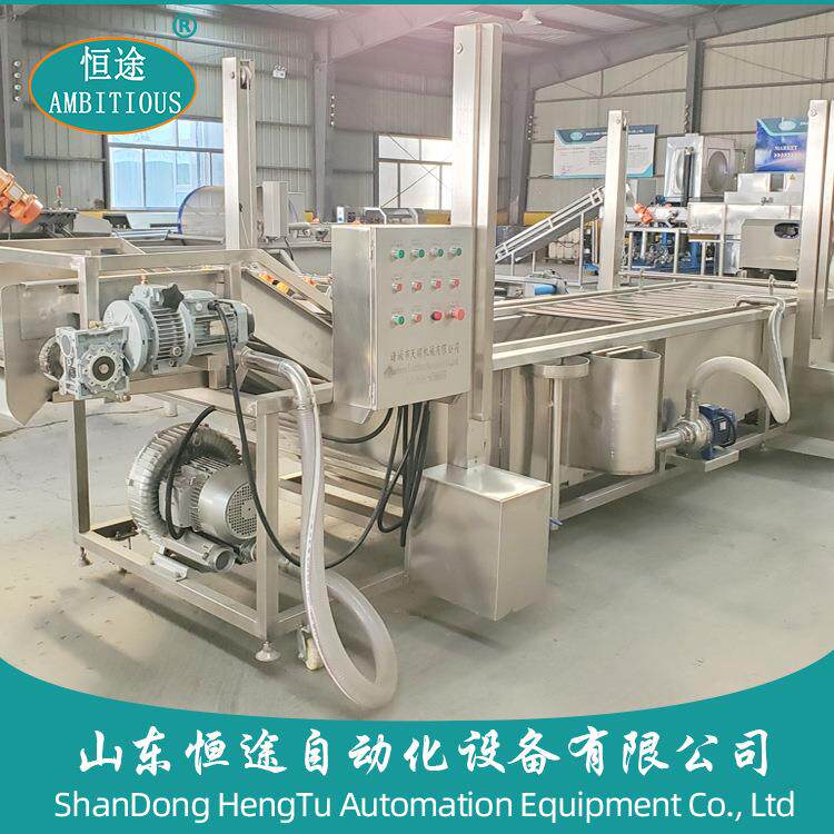厂家新品气泡清洗叶类蔬菜设备鼓泡喷淋洗菜机大型茶叶清洗机现货