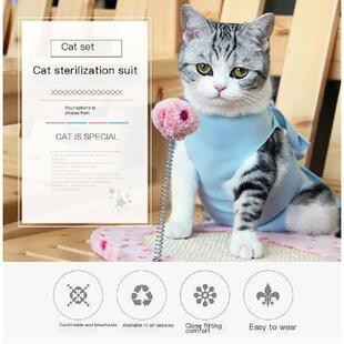 Cat Surgery Recovery Suit Pet Recovery Shirt For Abdominal