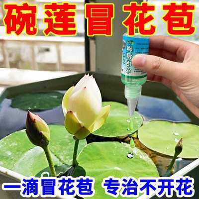 养水培水溶观赏绿色植物碗花肥莲花卉叶莲睡莲营养液一肥料