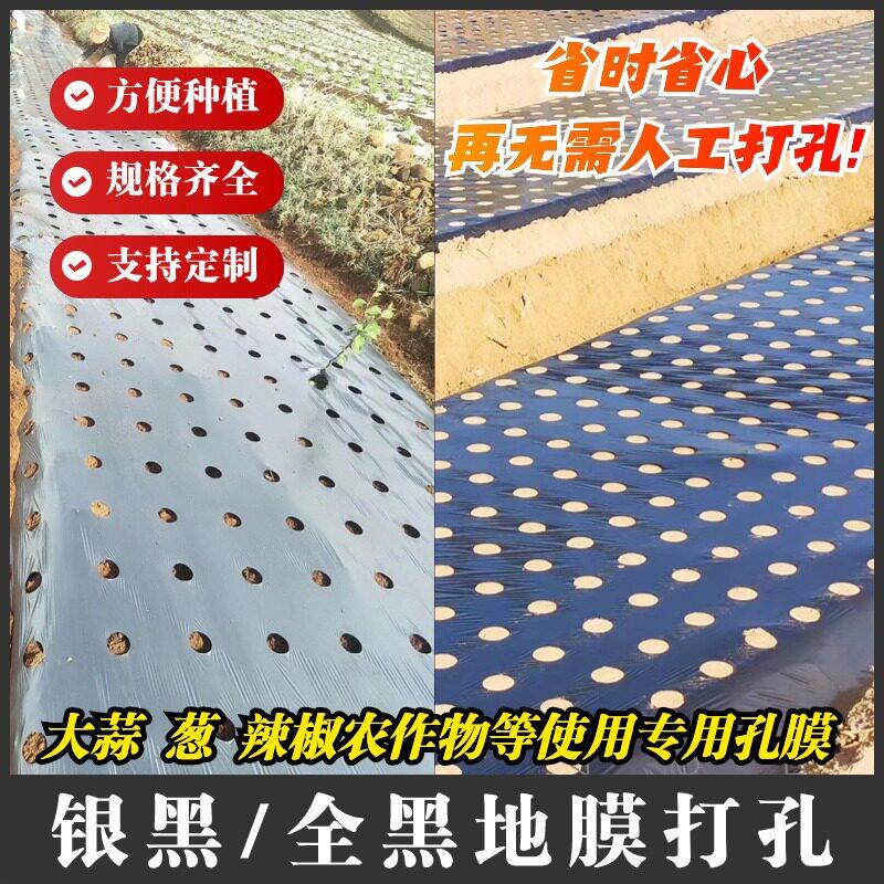 农用打孔黑色地膜银黑双色除草防草带孔农用种植塑料薄膜羊肚菌