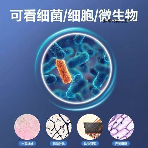 光学显微镜高清初中小学生可用看显微镜中考专用显微镜学生版高清