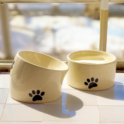 猫碗陶瓷猫食盆饭碗水碗斜口幼猫专用保护颈椎可爱猫咪浅口高脚碗