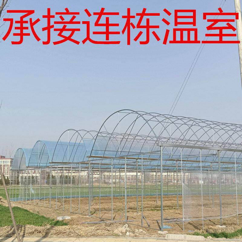大棚钢管骨架温室大棚蔬菜大棚农业种植钢架热浸镀锌钢管养殖棚全