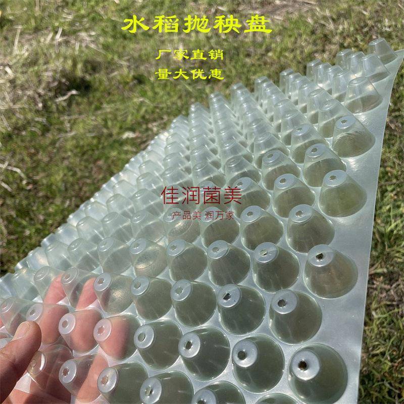 厂家5孔育秧盘平盘秧盘水稻育苗盘软盘抛秧盘08孔种植盘