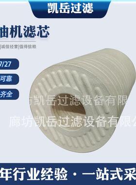 滤油机滤芯BG27/27离线过滤器滤芯BG15/25BG27/27 轧制油滤芯