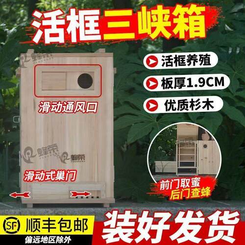 蜂荣土养三峡立式颠倒老式蜂箱成品蜂箱带巢框诱蜂桶活框养蜂箱