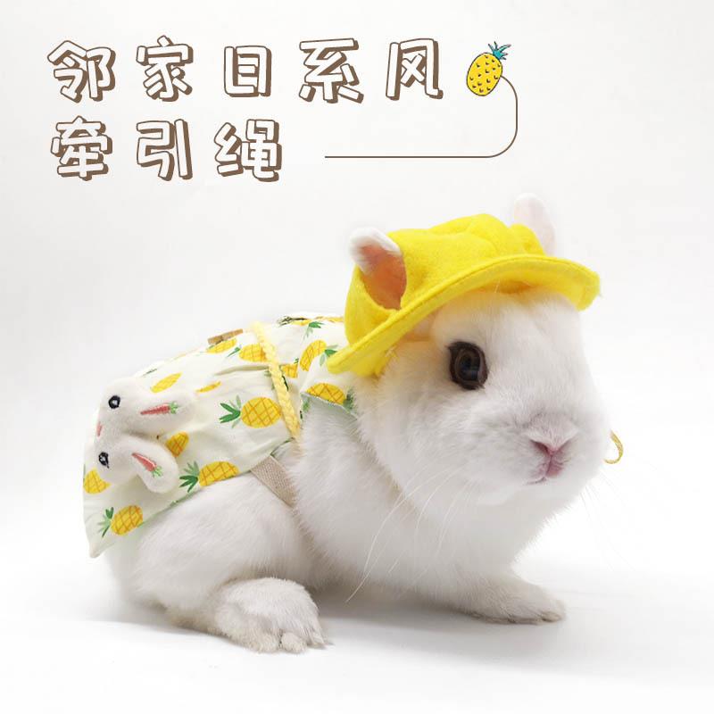 亚马逊新款宠物兔衣服兔兔猫咪牵引绳服饰出游拍照宠物日韩风可爱